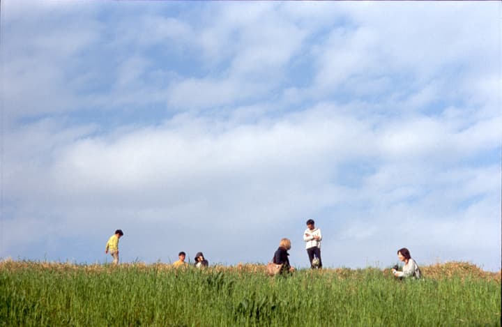 Japan Colour image 3